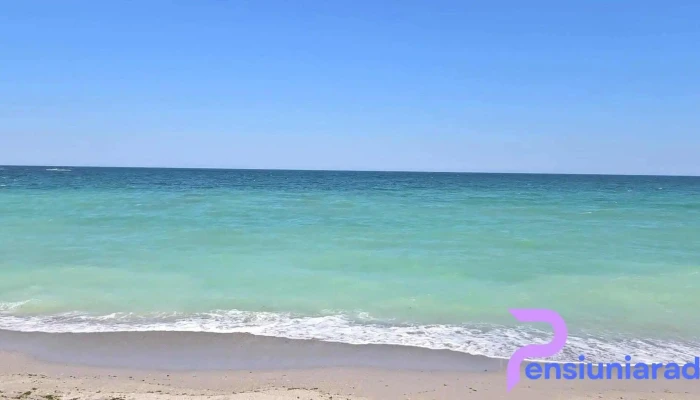Wild Beach Tuzla La Avion Videoclipuri - Tuzla