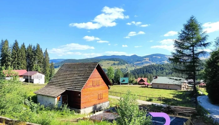 Zana Vaii De La Vizitatori - Galbena, Nr. 424b