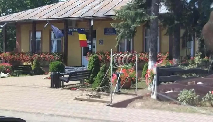 Zanesti Promoție - Zănești
