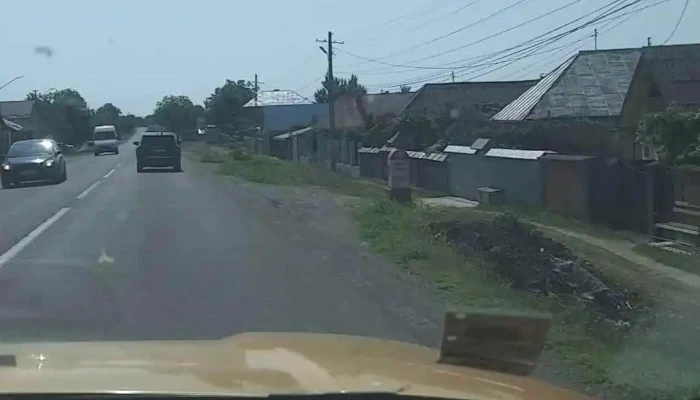 Zanesti Videoclipuri - Zănești