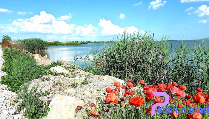 Zebil -  Plaja - Zebil