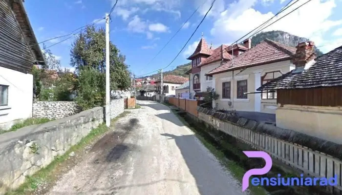 Zian - România