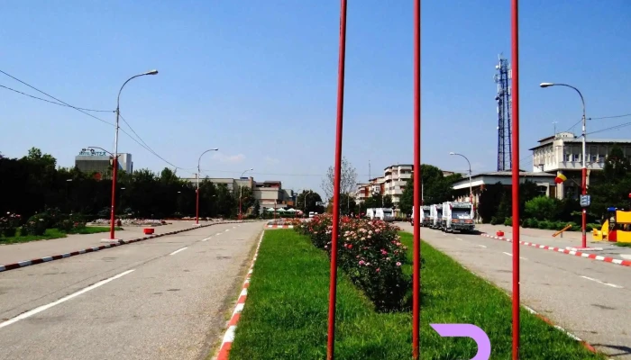 Zimnicea -  Promoție - Zimnicea