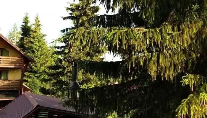 Zori De Zi Si Apus De Soare Videoclipuri - Cluj