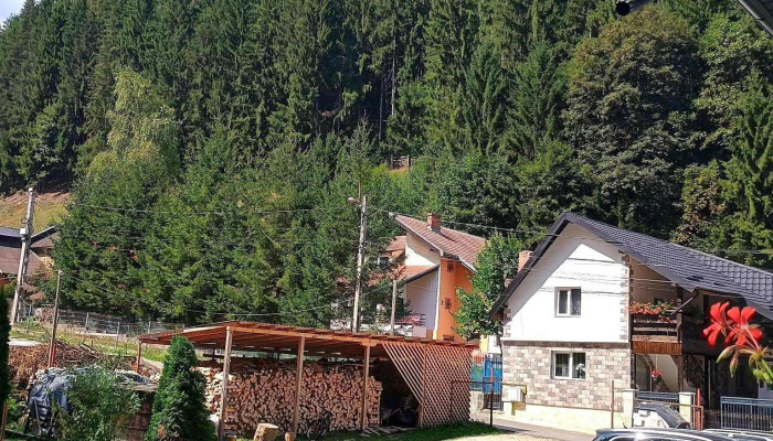Zumzetul Raului De La Vizitatori - Rucăr