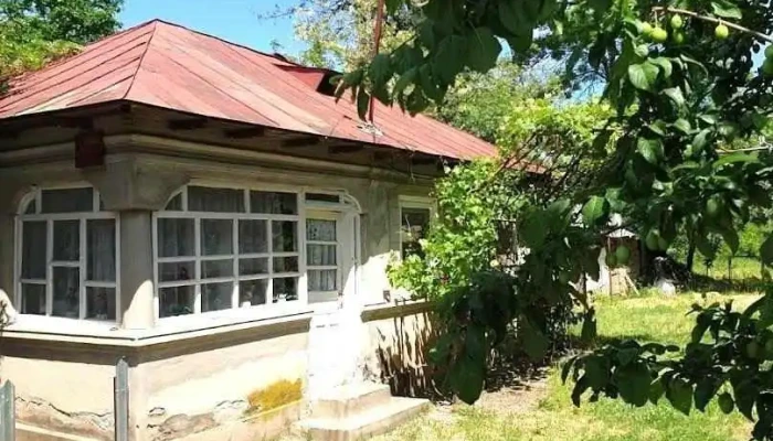 Şelaru - Şelaru