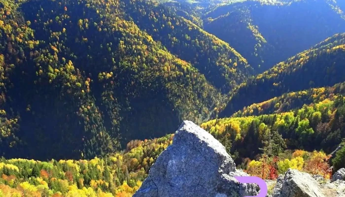 Ţâcla Gavrii - Mărișel