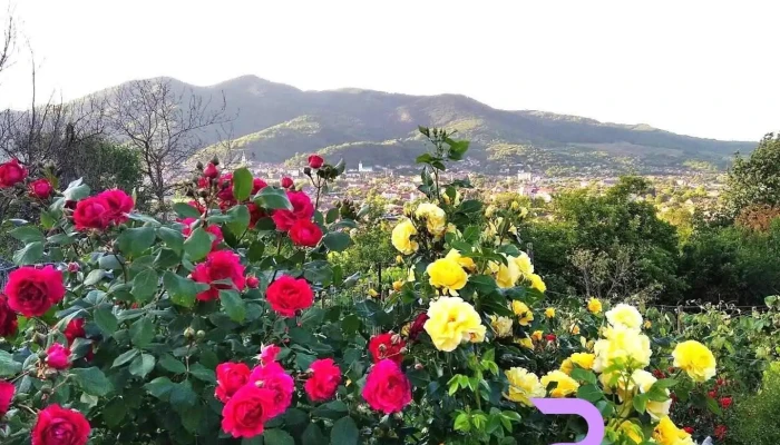 Șimleu Silvaniei - Șimleu Silvaniei
