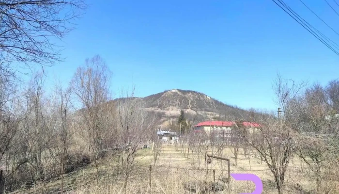 Șoimari - Șoimari
