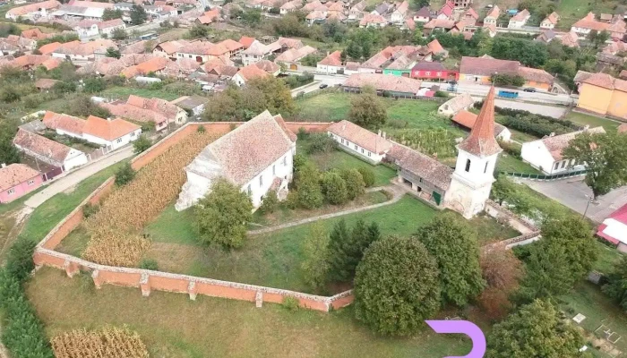 Șona - Șona